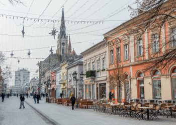 Нови Сад: Пратиоцима деце са сметњама у развоју и инвалидитетом пуна накнада док траје ванредно стање