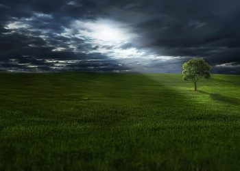 Мачванским пољопривредницима одобрено кретање од 5 до 20 сати; Када ће Бадовинчани моћи до својих њива?