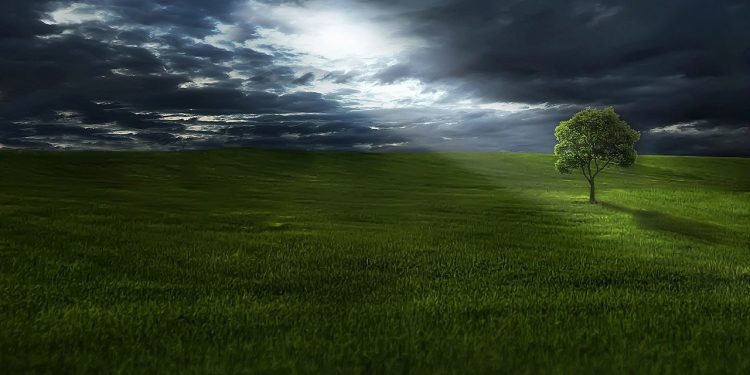 Мачванским пољопривредницима одобрено кретање од 5 до 20 сати; Када ће Бадовинчани моћи до својих њива?