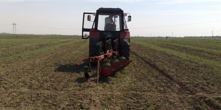 Како Србија губи плодну земљу