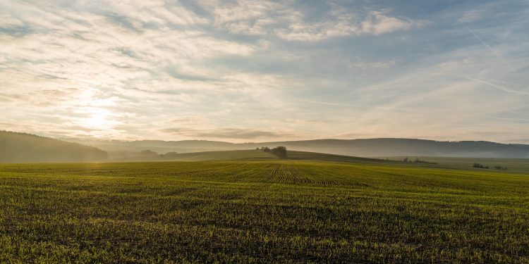Субвенционисање аграра – између стратегије и коцкања
